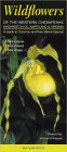 Wildflowers of the Western Chesapeake - Washington DC, Maryland, Virginia: A Guide to Common and Rare Native Species