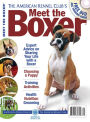 Meet the Boxer