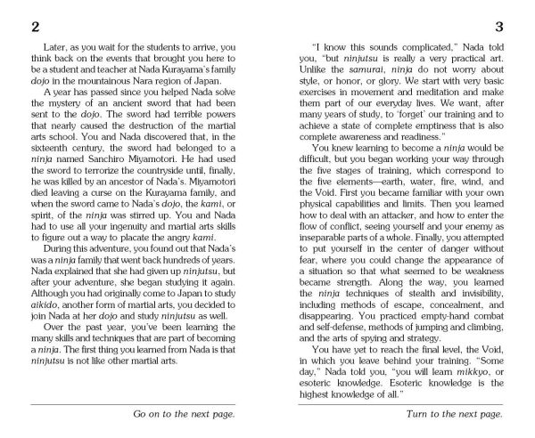 Return of the Ninja (Choose Your Own Adventure)