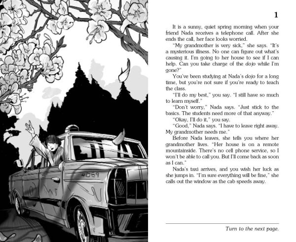 Return of the Ninja (Choose Your Own Adventure)