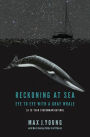 Reckoning at Sea: Eye to Eye with a Gray Whale
