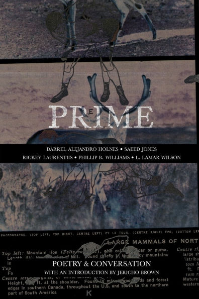 Prime: Poetry & Conversation