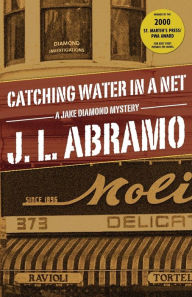 Title: Catching Water in a Net, Author: J L Abramo