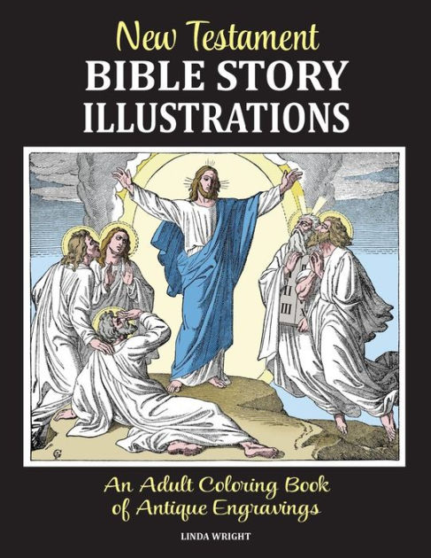 New Testament Bible Story Illustrations: An Adult Coloring Book Of ...