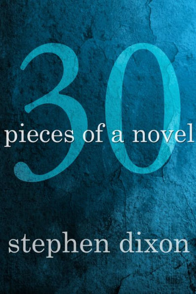 30: Pieces of a Novel