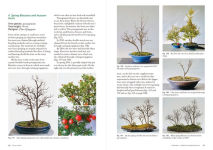 Alternative view 5 of Forest Penjing: Enjoy the Miniature Landscape by Growing, Care and Appreciation of Chinese Bonsai Trees