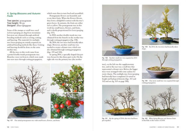 Forest Penjing: Enjoy the Miniature Landscape by Growing, Care and Appreciation of Chinese Bonsai Trees