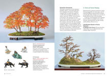 Alternative view 6 of Forest Penjing: Enjoy the Miniature Landscape by Growing, Care and Appreciation of Chinese Bonsai Trees