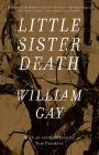 Little Sister Death: A Novel