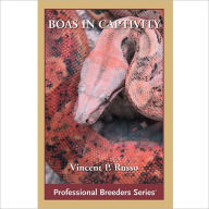Title: Boa Constrictors in Captivity, Author: Vin Russo