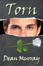 Torn (Reflections)