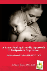 Title: A Breastfeeding-Friendly Approach to Postpartum Depression: A Resource Guide for Health Care Providers, Author: Kathleen Kendall-Tackett PhD Ibclc