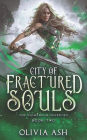 City of Fractured Souls: a Reverse Harem Fantasy Romance