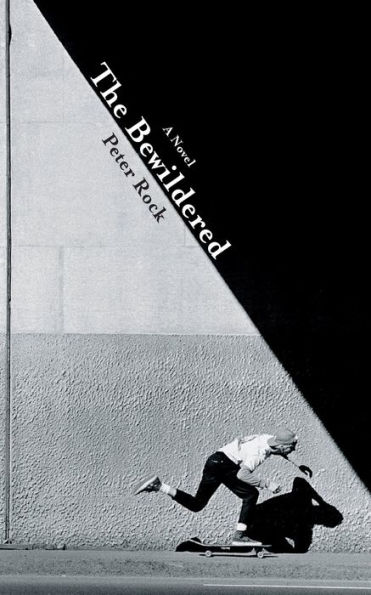 The Bewildered: A Novel