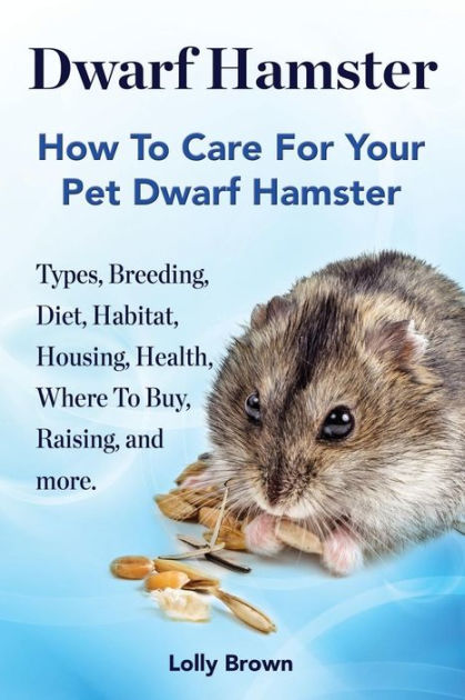 dwarf hamster buy