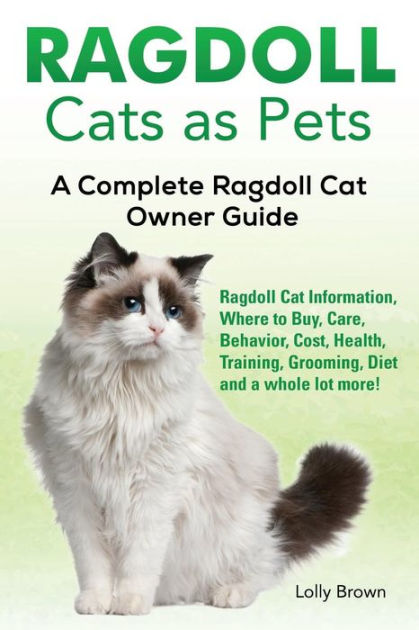Ragdoll Cats as Pets: Ragdoll Cat Information, Where to Buy, Care