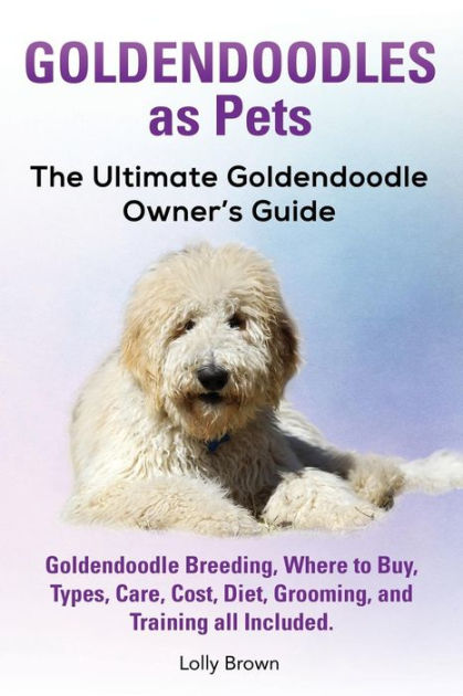 goldendoodle care