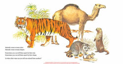 Alternative view 2 of Animals Two by Two: I Wonder Why