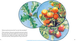 Alternative view 2 of From Flower to Fruit