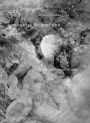 Promesse du Bonheur: Poems by Michael Fried, Photographs by James Welling