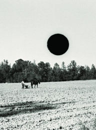 Title: Ground: A Reprise of Photographs from the Farm Security Administration, Author: Bill McDowell