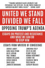United We Stand Divided We Fall: Opposing Trump's Agenda: Essays On Protest And Resistance And What We Can Do To Stop Him