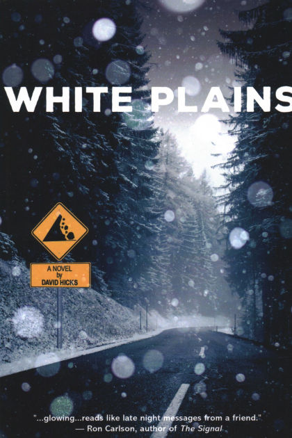 White Plains A Novel By David Hicks Paperback Barnes Noble