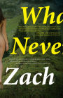 What We Never Had: A Novel