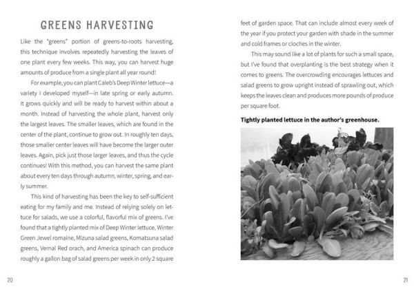 Tiny Garden, Huge Harvest: How to Harvest Huge Crops From Mini Plots and Container Gardens