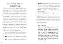 Alternative view 9 of Tiny Garden, Huge Harvest: How to Harvest Huge Crops From Mini Plots and Container Gardens