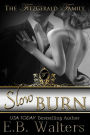 Slow Burn: (book #1 The Fitzgerald Family)