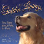 Golden Linings