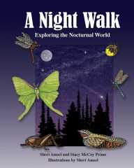 Title: A Night Walk: Exploring the Nocturnal World, Author: Sheri Amsel