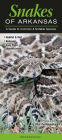Snakes of Arkansas: A Guide to Common & Notable Species