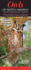 Owls of North America Including Nighthawks and Nightjars: A Comprehensive Guide to All Species