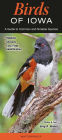 Birds of Iowa: A Guide to Common and Notable Species