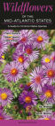 Wildflowers of the Mid-Atlantic States: A Guide to Common and Rare Native Species