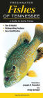 Freshwater Fishes of Tennessee: A Guide to Common & Notable Species