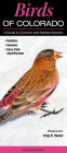 Birds of Colorado: A Guide to Common & Notable Species