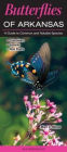 Butterflies of Arkansas: A Guide to Common and Notable Species