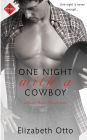 One Night with a Cowboy