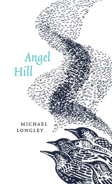 Angel Hill by Michael Longley eBook Barnes Noble®