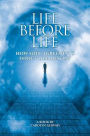 Life before Life: How Soul Agreements Direct our Destiny