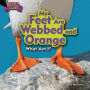 My Feet Are Webbed and Orange (Puffin)
