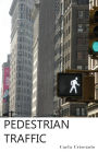 Pedestrian Traffic