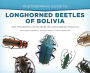 Photographic Guide to Longhorned Beetles of Bolivia: Guía Fotográfica de Escarabajos Longicornios de Bolivia