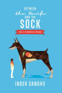Between the Knife and the Sock: Story of an Immigrant Doberman