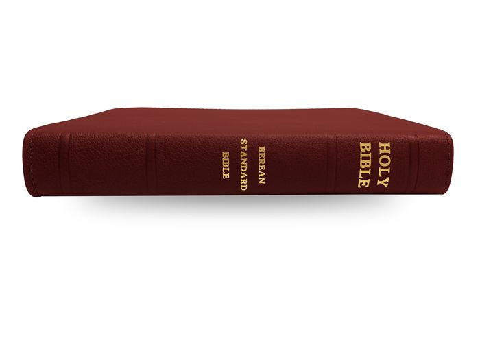 Holy Bible, Berean Standard Bible - Genuine Leather - Tosca Cowhide ...