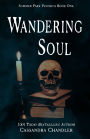 Wandering Soul