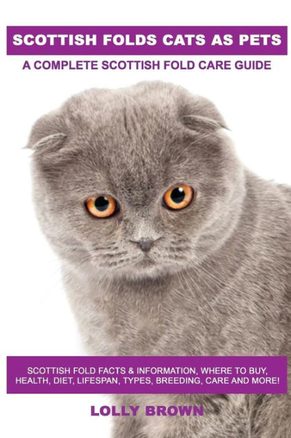 Scottish Folds Cats As Pets: Scottish Fold Facts & Information, Where 